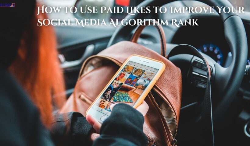 How to Use Paid Likes to Improve Your Social Media Algorithm Rank