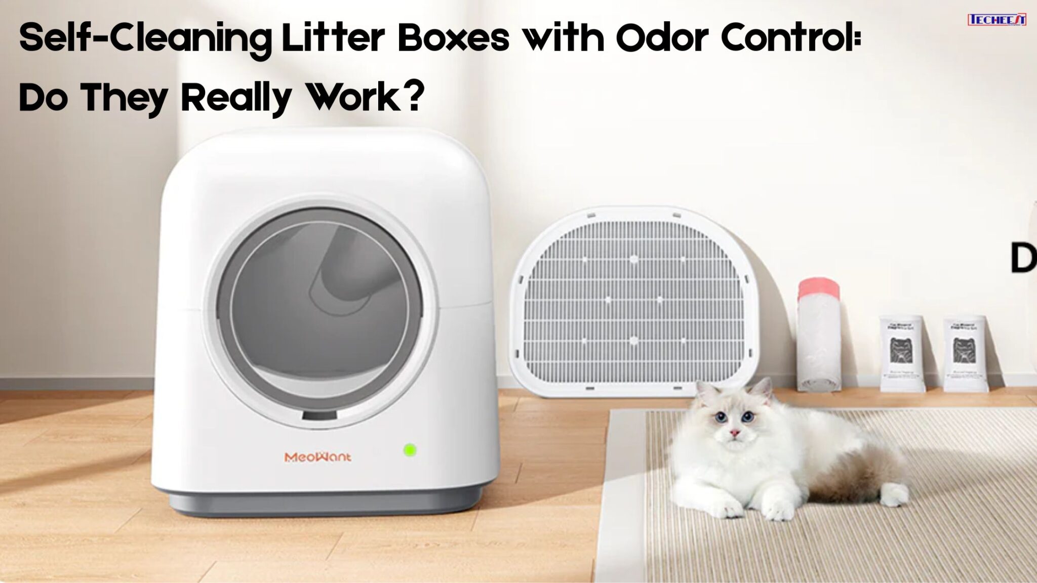 Image showcasing Self-Cleaning Litter Boxes with Odor Control: Do They Really Work?