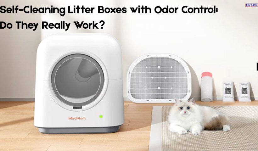 Self-Cleaning Litter Boxes with Odor Control: Do They Really Work
