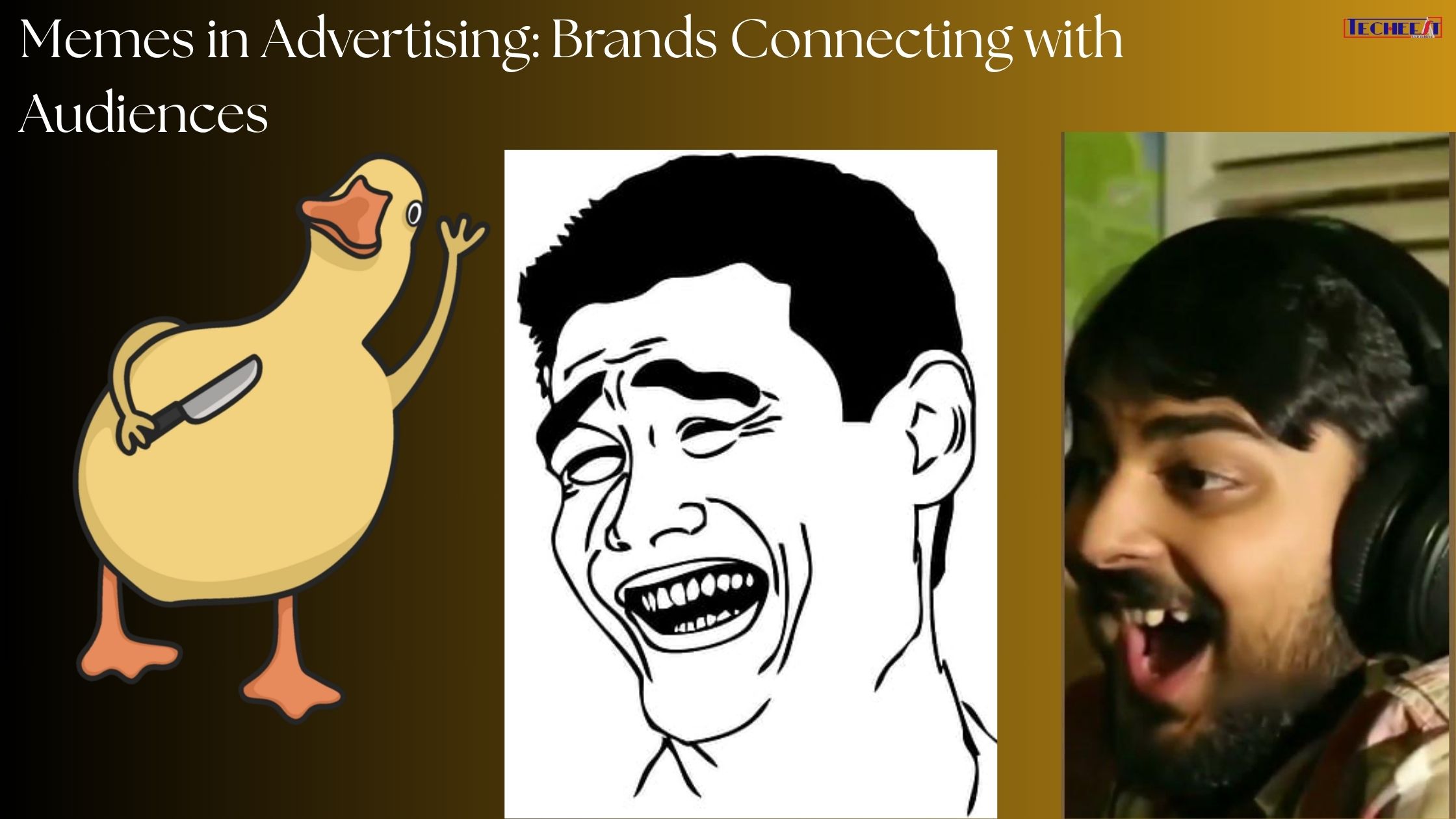 Memes in Advertising Brands Connecting with Audiences