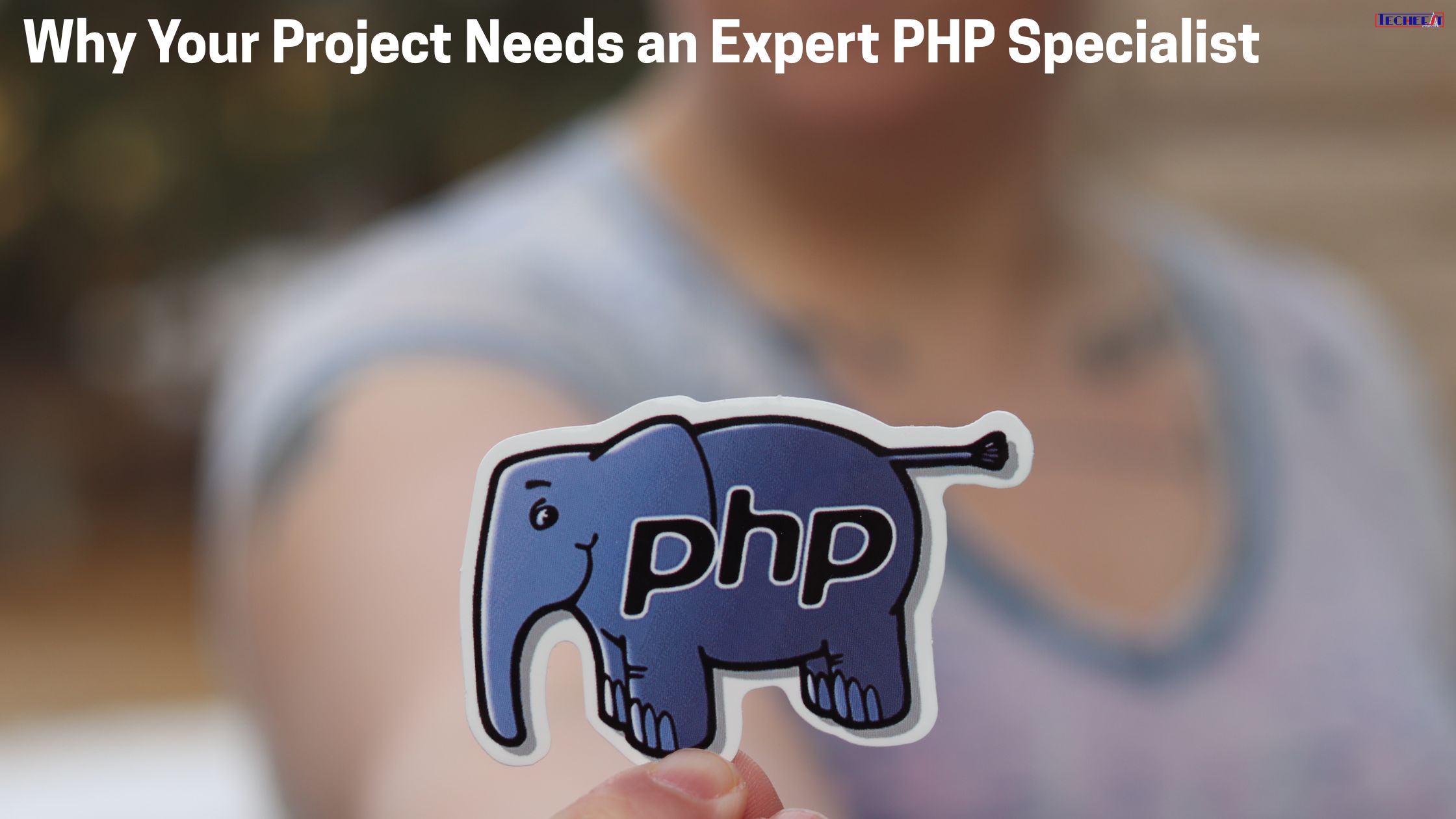 Why Your Project Needs an Expert PHP Specialist