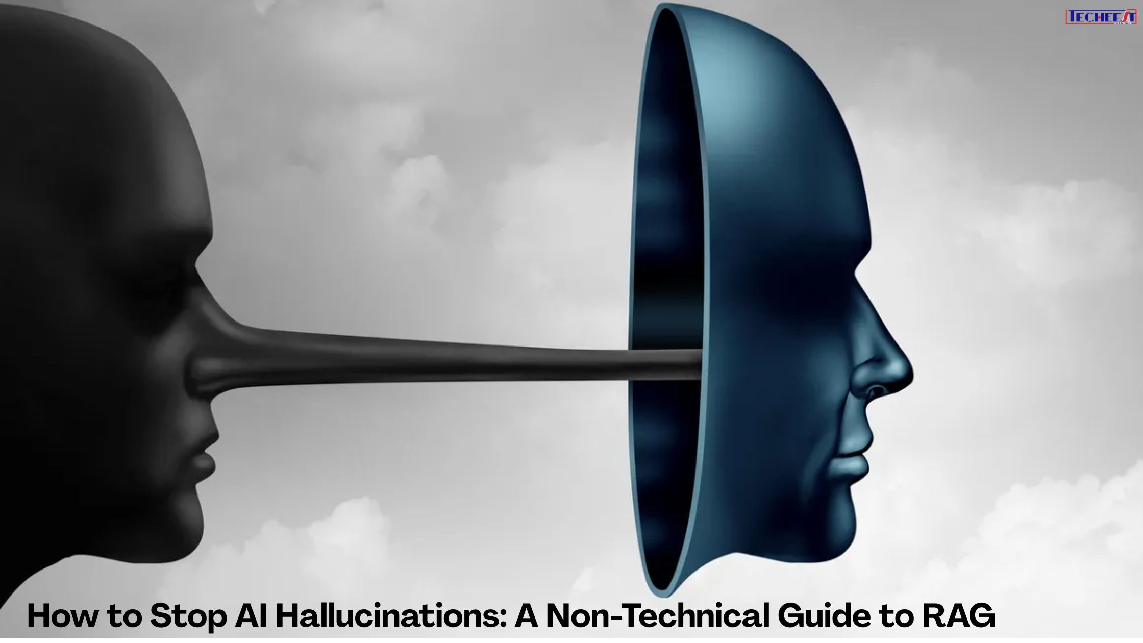 How to Stop AI Hallucinations